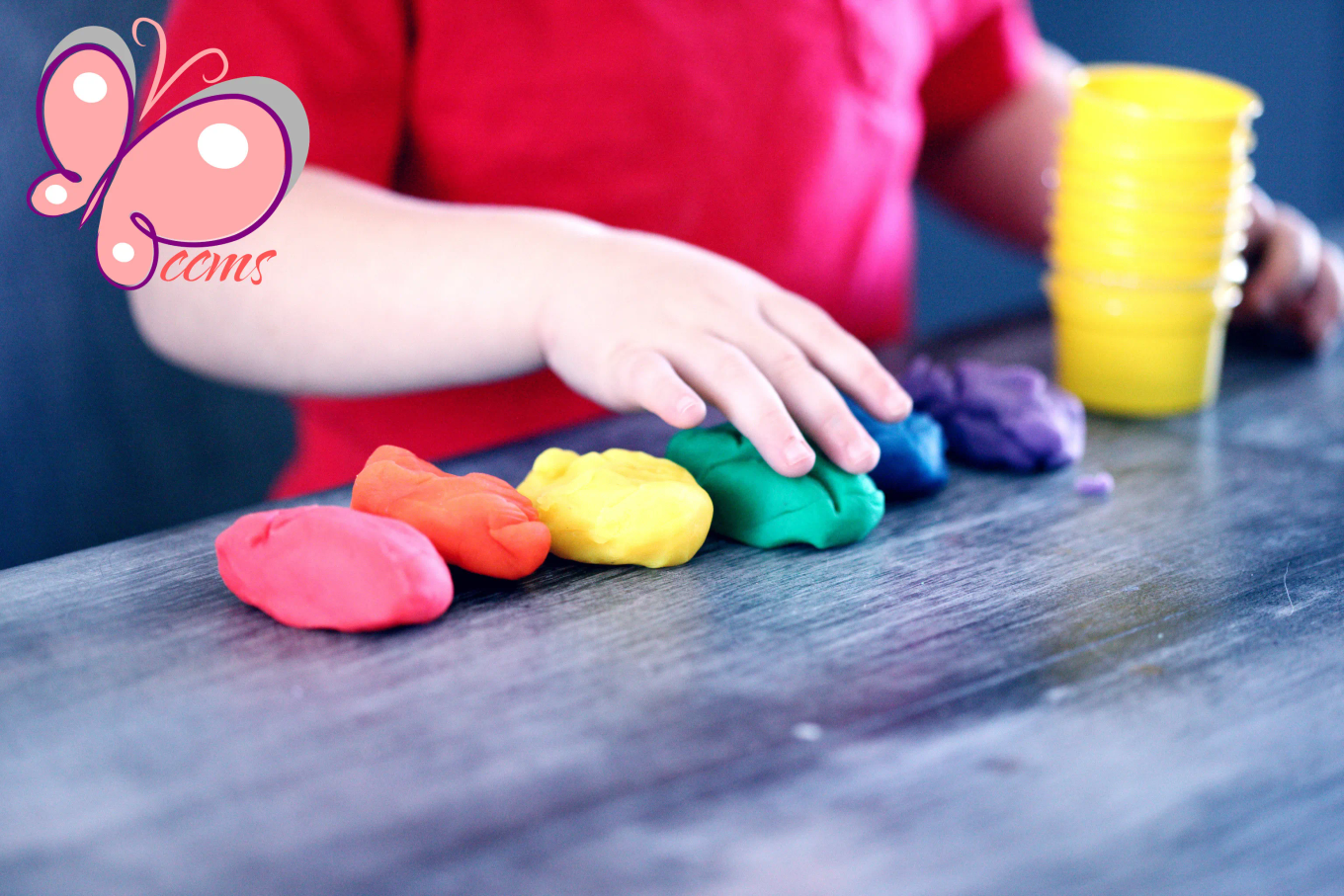 Child Care Management System
